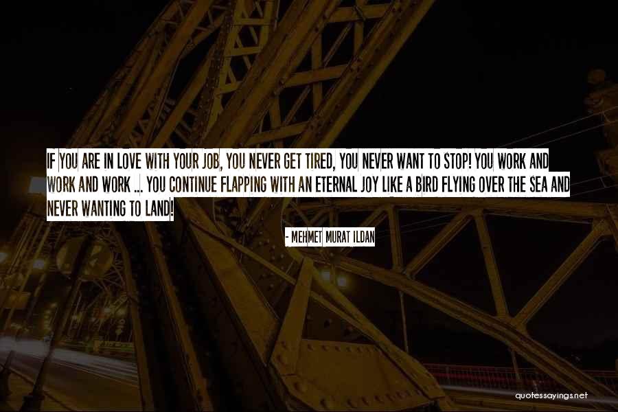 Joy In Your Work Quotes By Mehmet Murat Ildan Joy In Your Work Quotes By Mehmet Murat Ildan