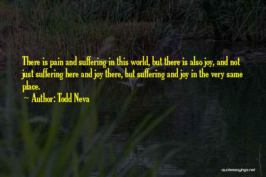 Joy Is Quotes By Todd Neva