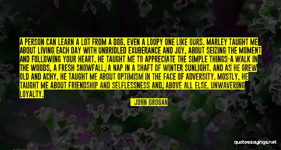 Joy Of Friendship Quotes By John Grogan Joy Of Friendship Quotes By John Grogan