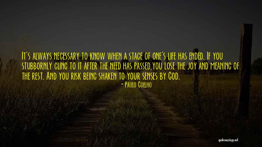 Joy Of God Quotes By Paulo Coelho