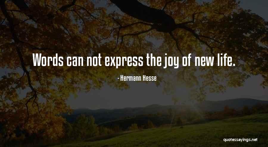 Joy Of Having A Baby Quotes By Hermann Hesse Joy Of Having A Baby Quotes By Hermann Hesse