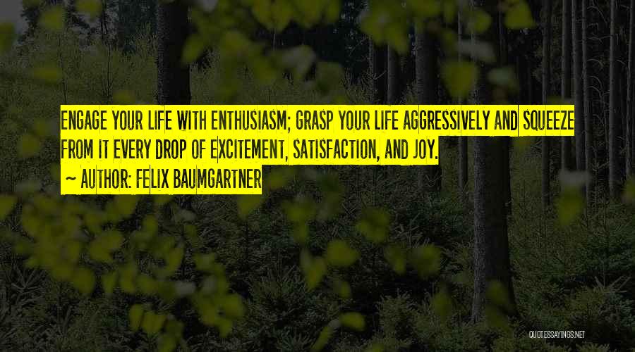 Joy Of Life Quotes By Felix Baumgartner