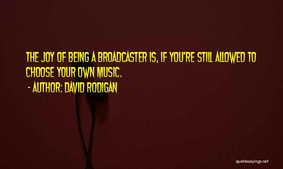 Joy Of Music Quotes By David Rodigan