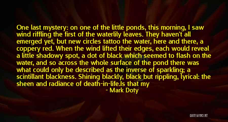 Joy Of My Life Quotes By Mark Doty Joy Of My Life Quotes By Mark Doty