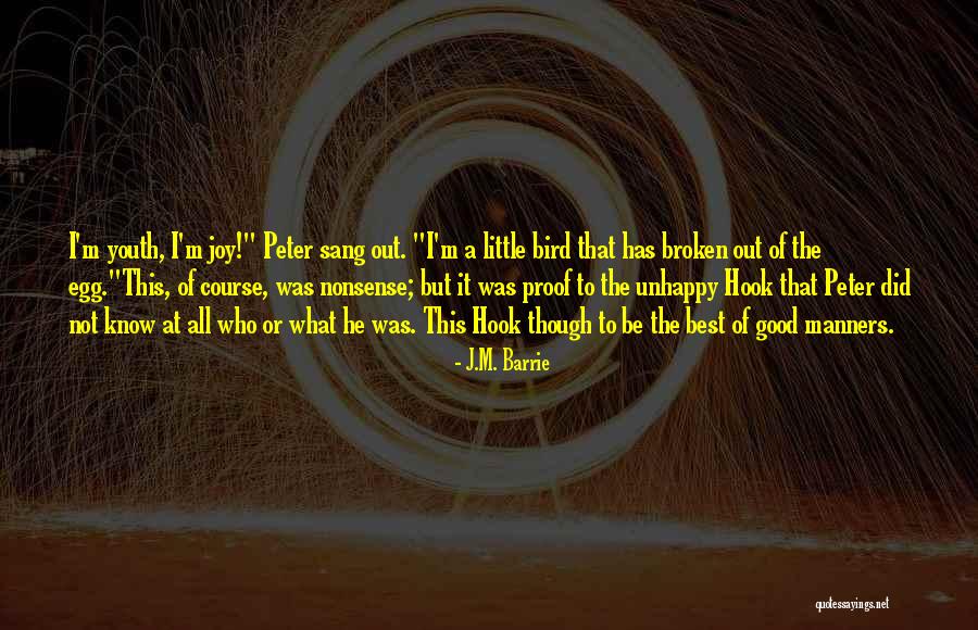 Joy Of Youth Quotes By J.M. Barrie Joy Of Youth Quotes By J.M. Barrie