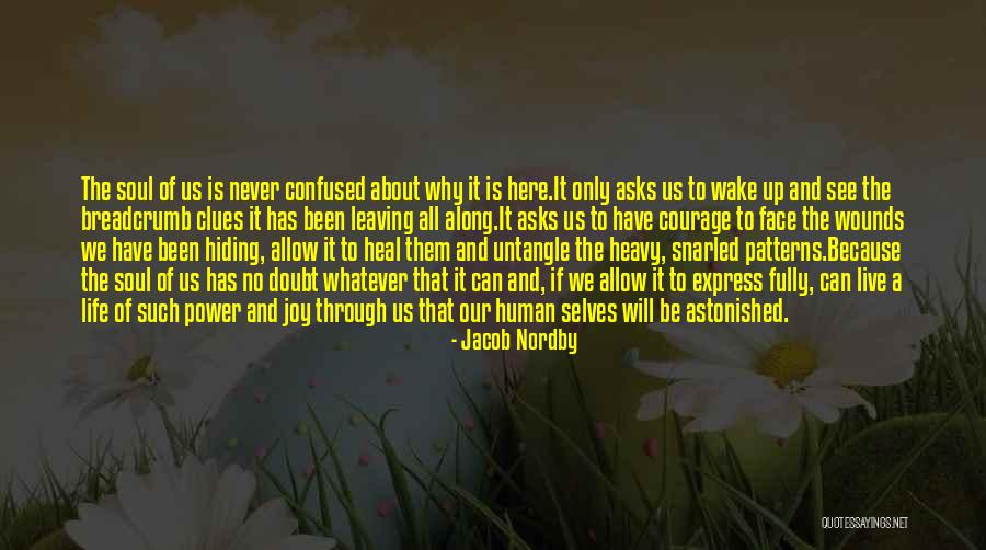 Joy Quote Quotes By Jacob Nordby Joy Quote Quotes By Jacob Nordby
