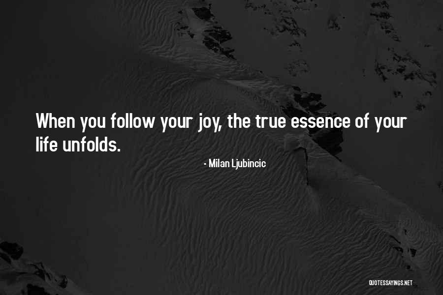 Joy Quote Quotes By Milan Ljubincic