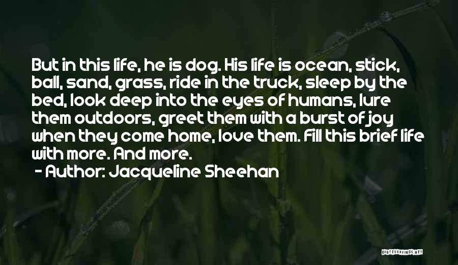 Joy Ride Quotes By Jacqueline Sheehan