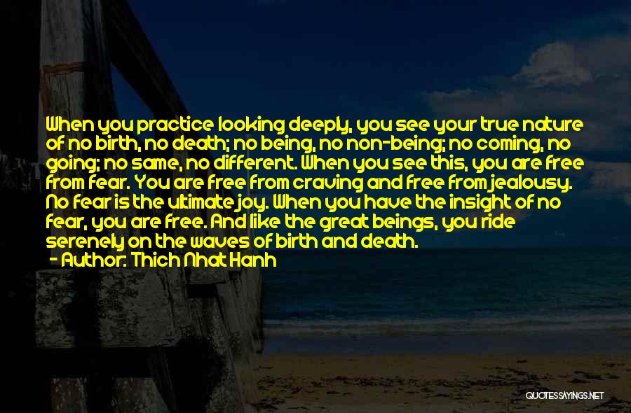 Joy Ride Quotes By Thich Nhat Hanh