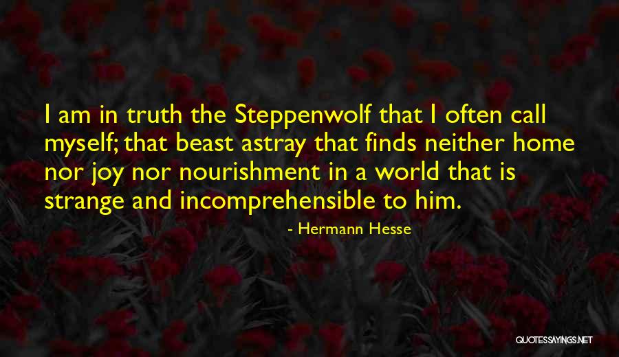 Joy To The World Quotes By Hermann Hesse Joy To The World Quotes By Hermann Hesse
