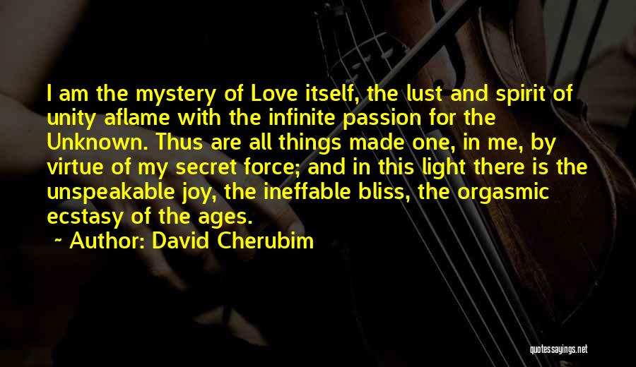 Joy Unspeakable Quotes By David Cherubim