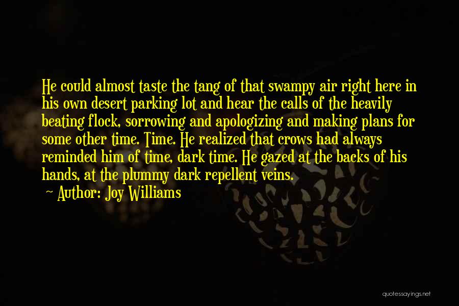 Joy Williams Quotes 1265981