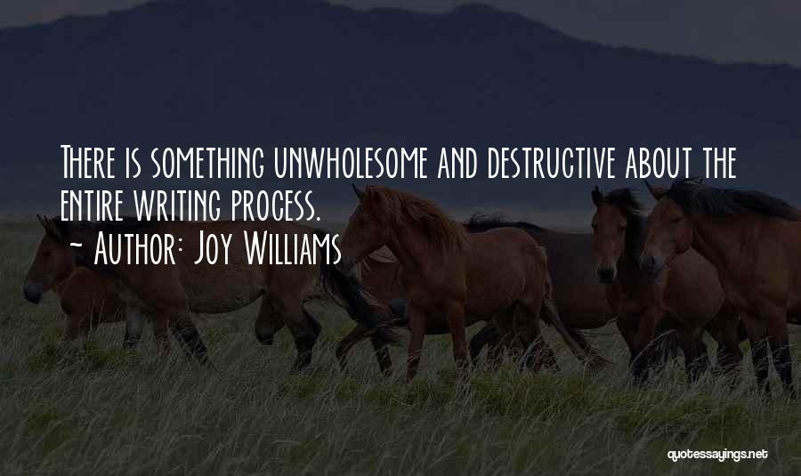 Joy Williams Quotes 1330216