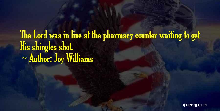 Joy Williams Quotes 1696041