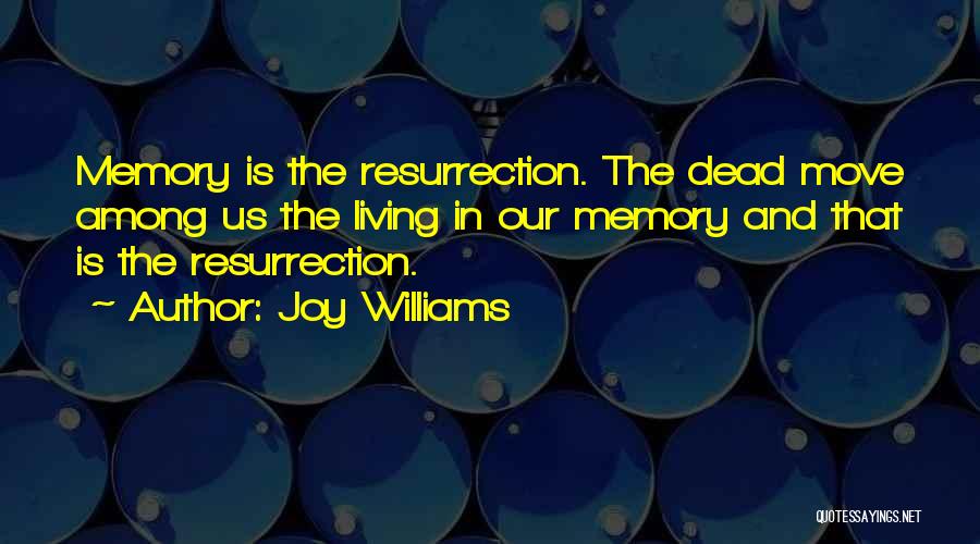 Joy Williams Quotes 1927145
