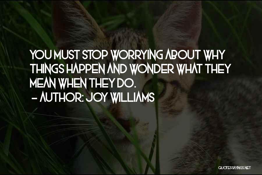 Joy Williams Quotes 1938584