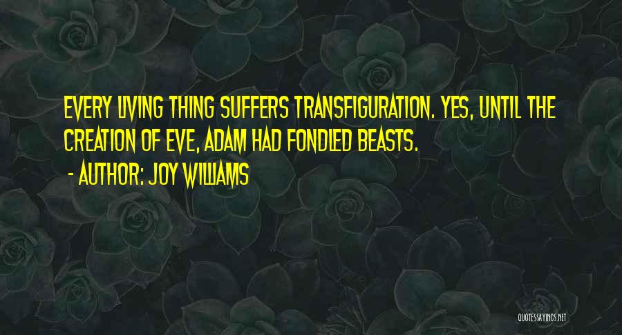 Joy Williams Quotes 198587