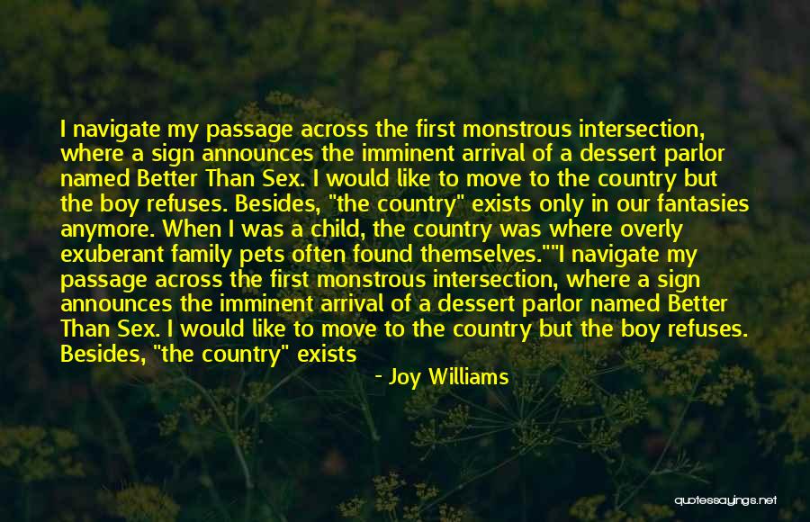 Joy Williams Quotes 2123509