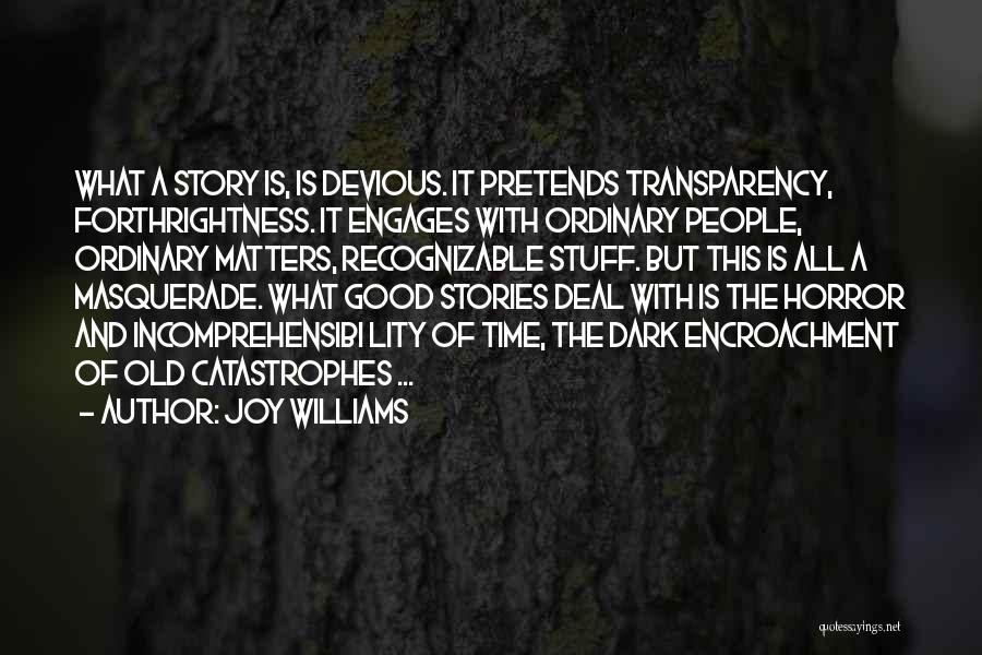 Joy Williams Quotes 296802