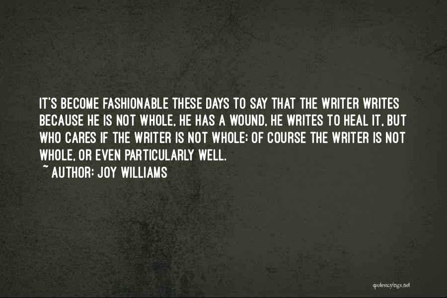 Joy Williams Quotes 341772