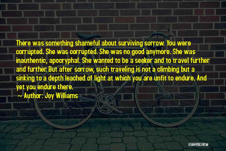 Joy Williams Quotes 384395