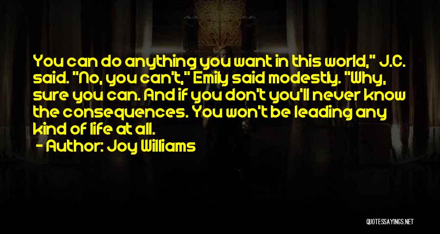 Joy Williams Quotes 446243