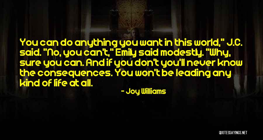 Joy Williams Quotes 446243