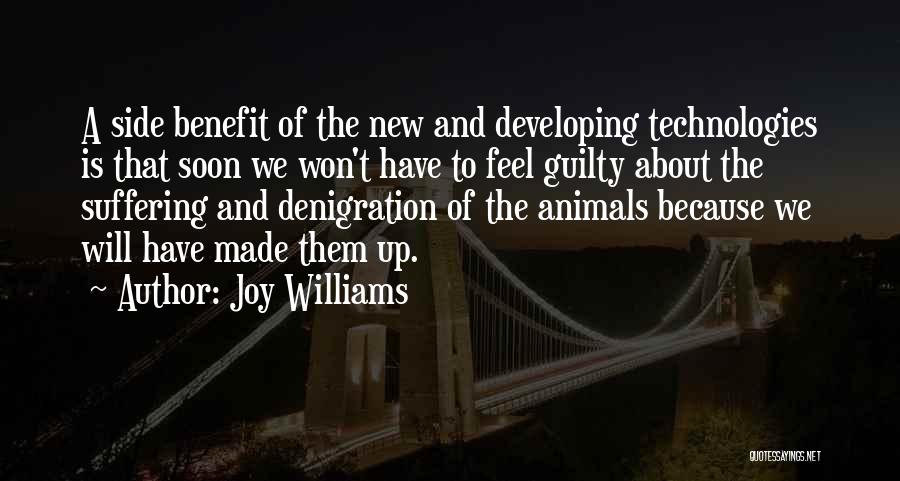 Joy Williams Quotes 601826
