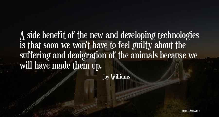 Joy Williams Quotes 601826