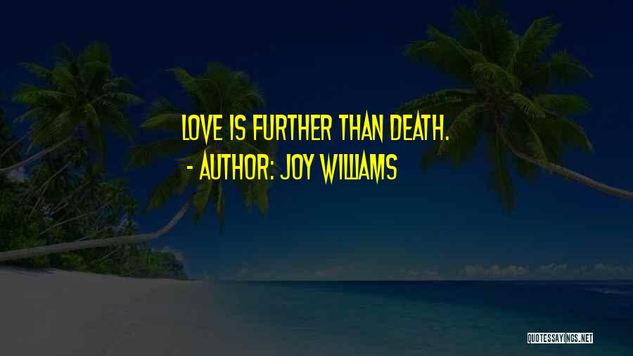 Joy Williams Quotes 806473