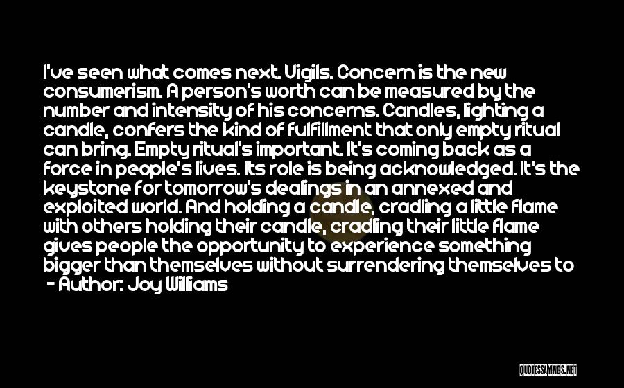 Joy Williams Quotes 83476
