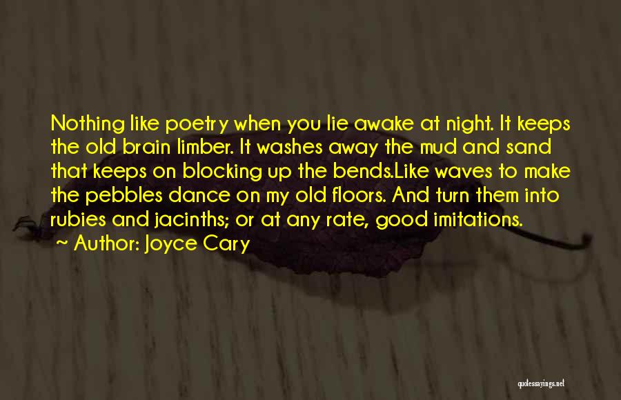 Joyce Cary Quotes 1072498