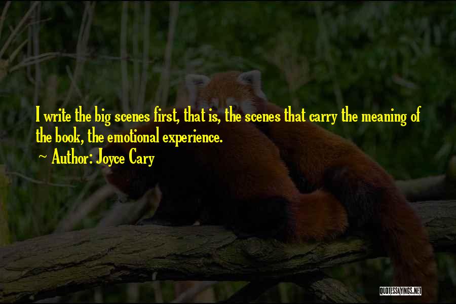 Joyce Cary Quotes 1113028