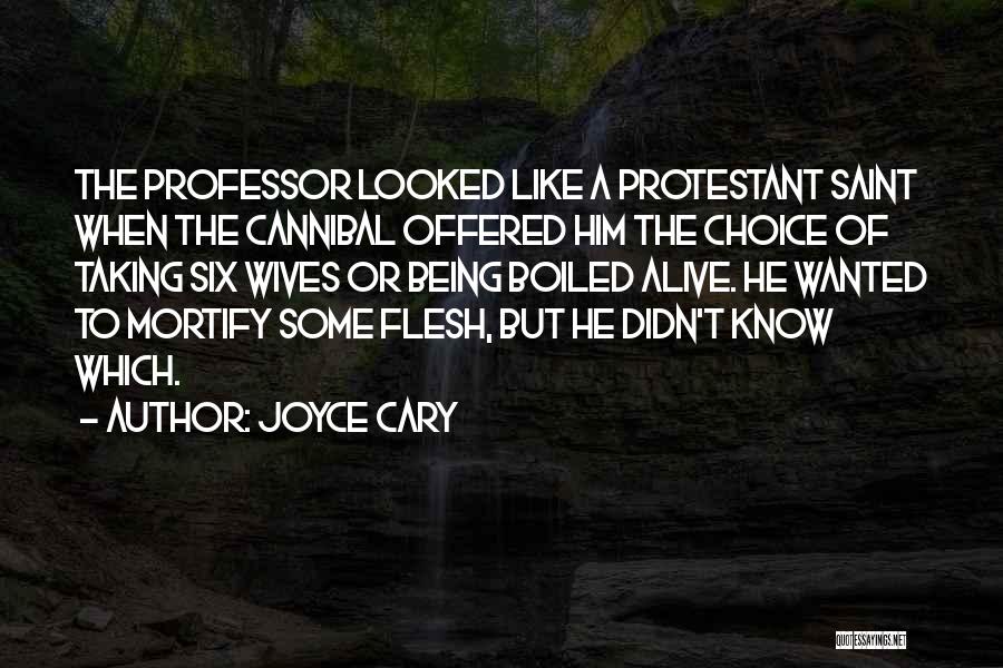 Joyce Cary Quotes 1213207
