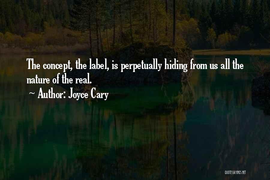 Joyce Cary Quotes 1569169