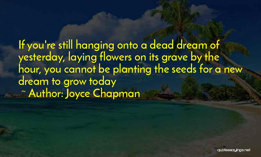 Joyce Chapman Quotes 1400599