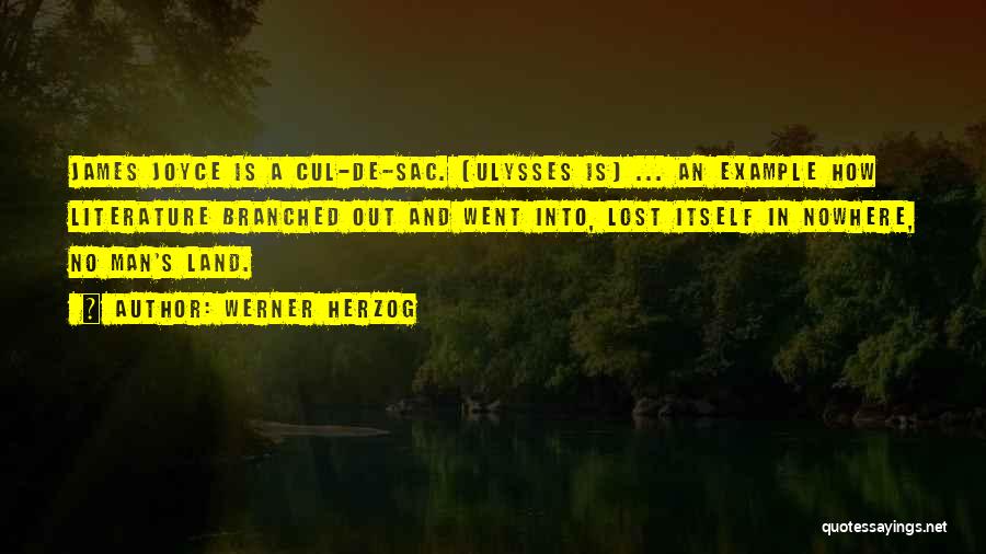 Joyce Quotes By Werner Herzog