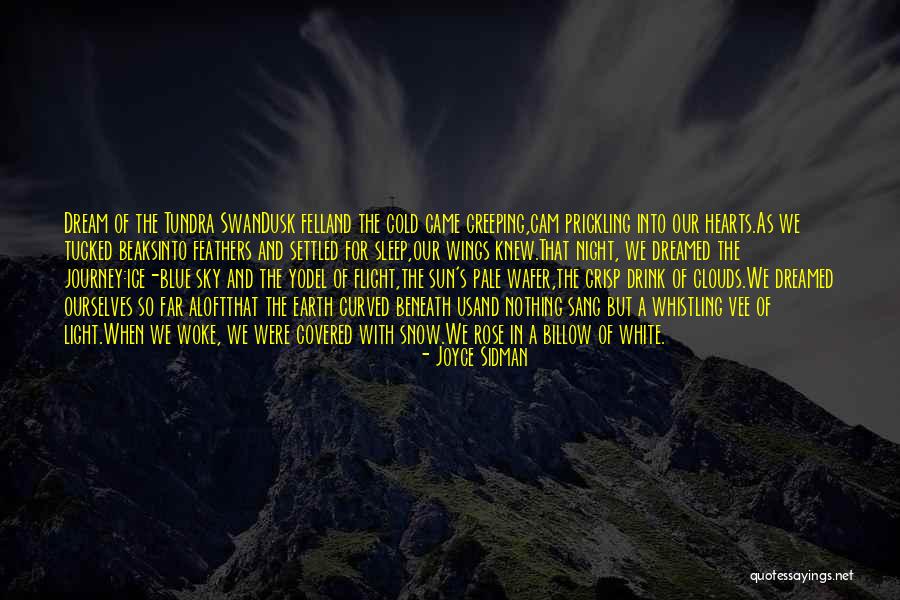 Joyce Sidman Quotes 1177841 Joyce Sidman Quotes 1177841