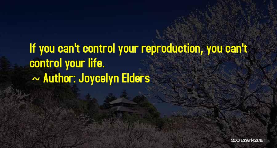 Joycelyn Elders Quotes 533807