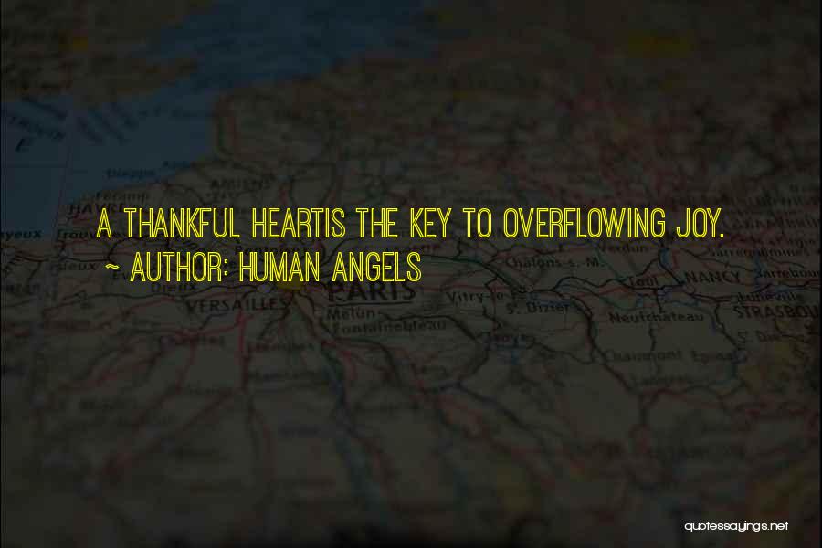 Joyful Heart Quotes By Human Angels