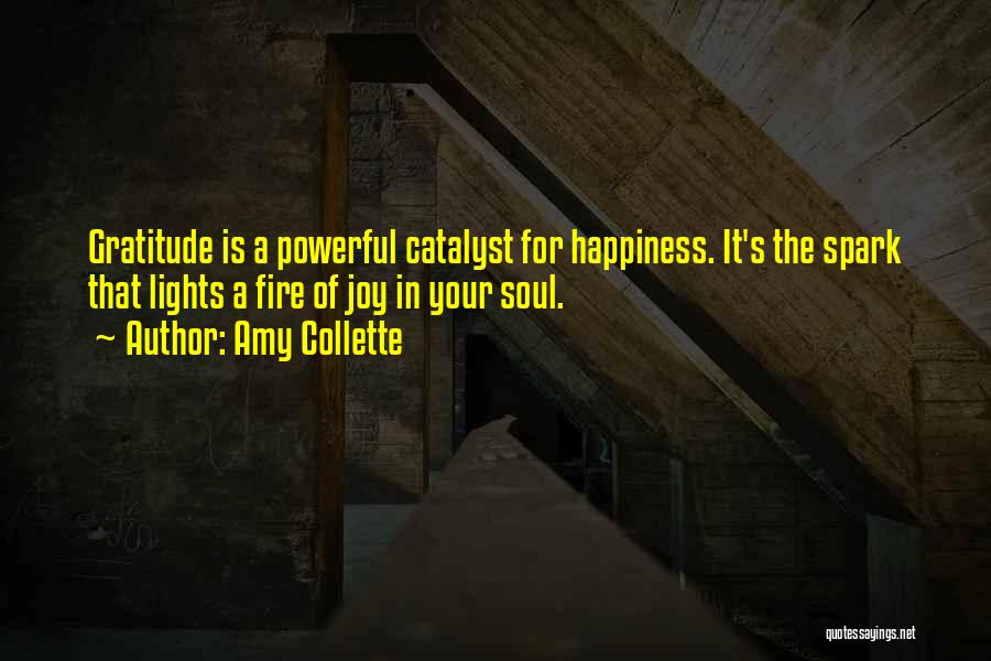 Joyful Soul Quotes By Amy Collette
