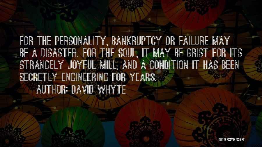 Joyful Soul Quotes By David Whyte