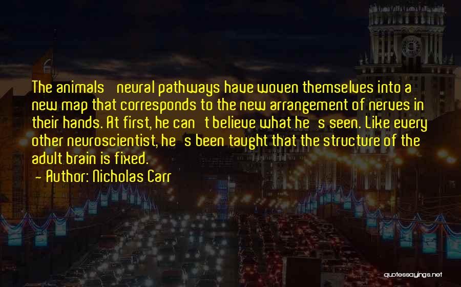 Joyicity Quotes By Nicholas Carr
