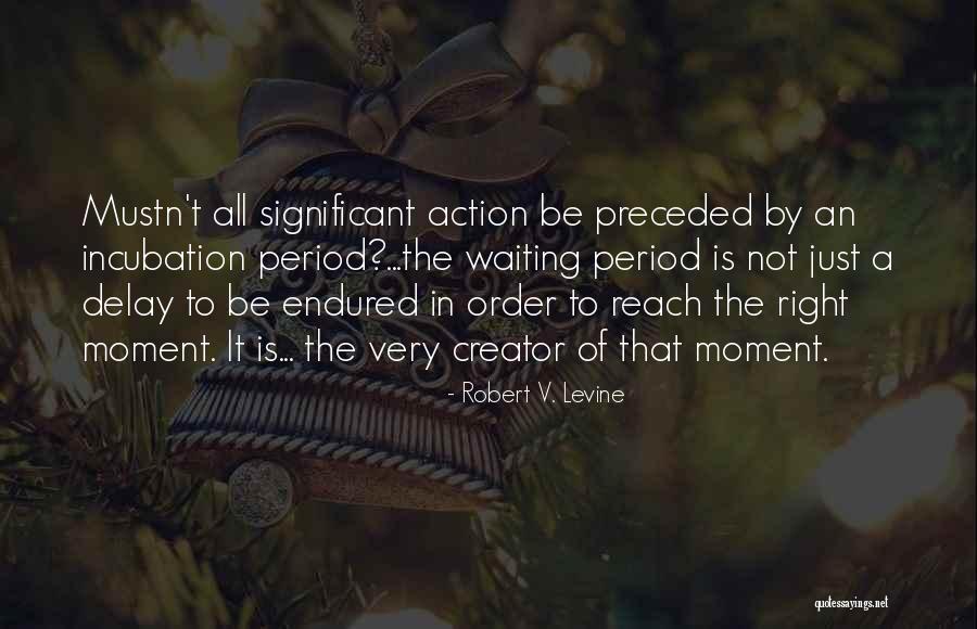 Joyland Life Quotes By Robert V. Levine Joyland Life Quotes By Robert V. Levine