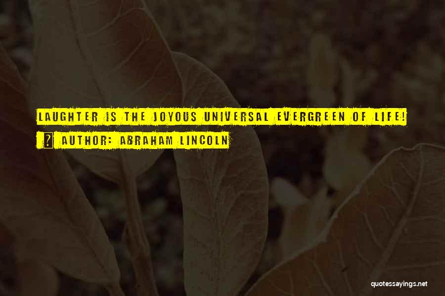 Joyous Life Quotes By Abraham Lincoln