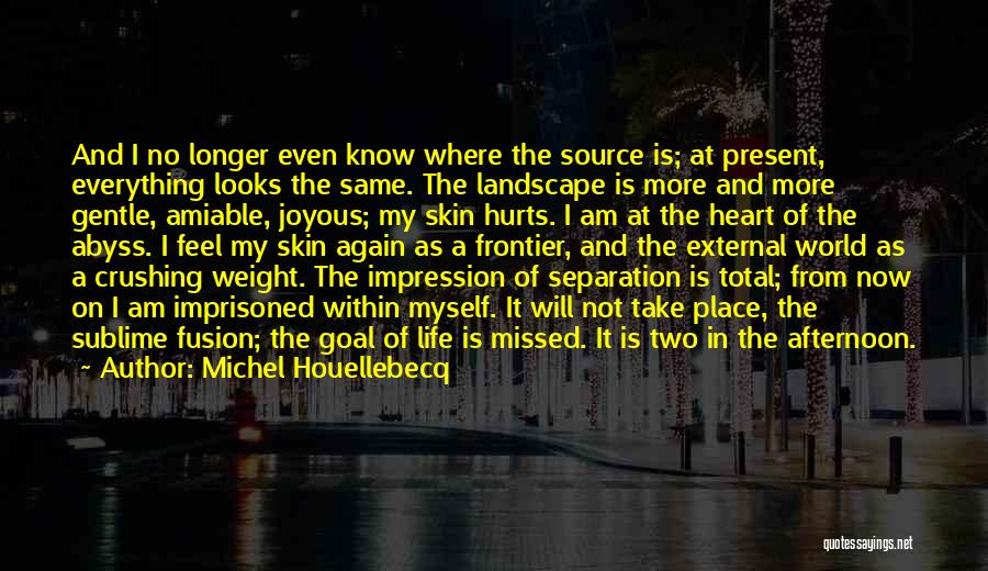 Joyous Life Quotes By Michel Houellebecq