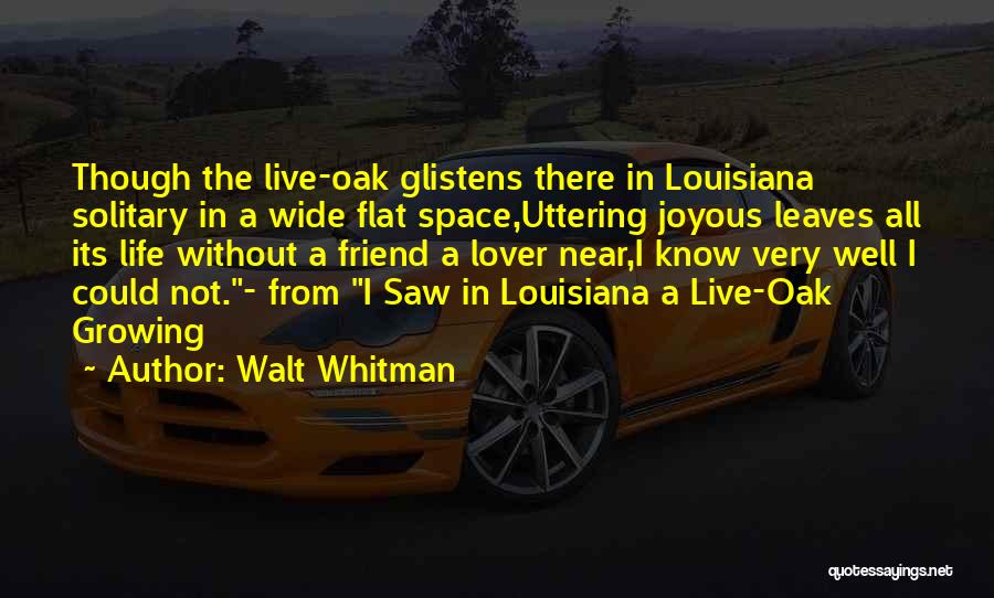 Joyous Life Quotes By Walt Whitman