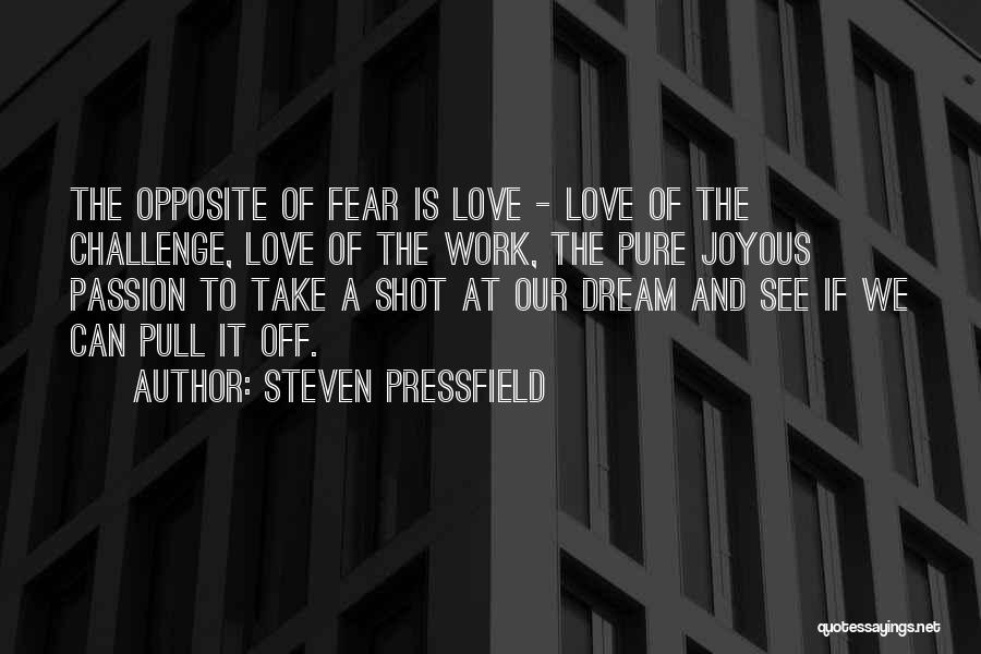 Joyous Quotes By Steven Pressfield