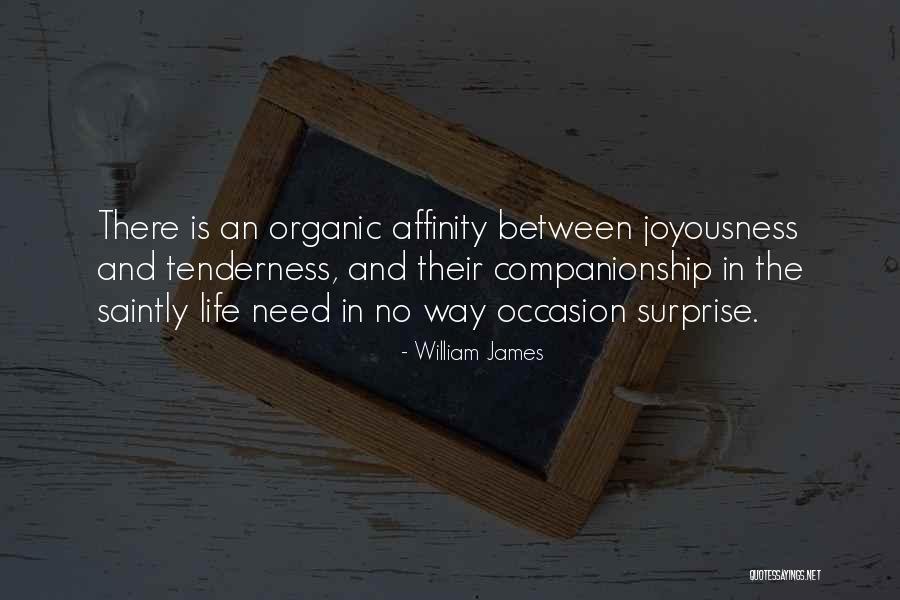 Joyousness Quotes By William James Joyousness Quotes By William James