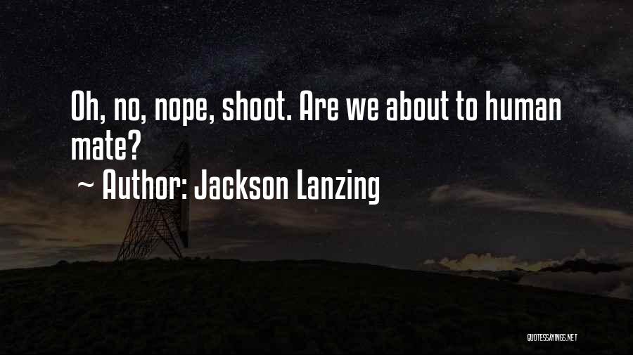 Joyride 3 Quotes By Jackson Lanzing